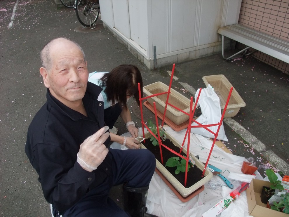 個別支援の一環としてスイカの栽培に挑戦する男性利用者様