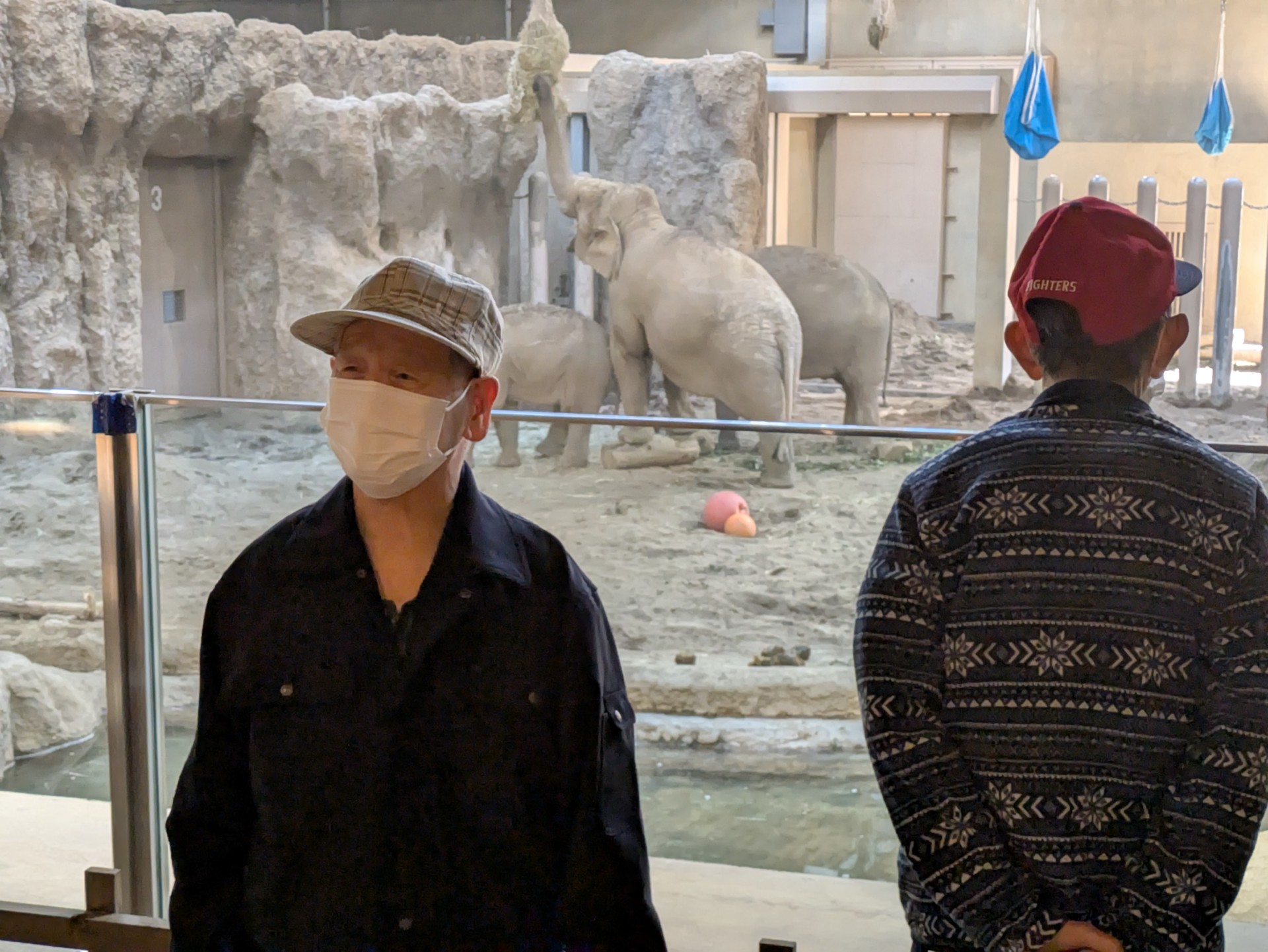 動物園レクで象を背景に記念撮影する男性利用者様